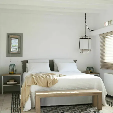 Villa Amra Ftelia (Mykonos)